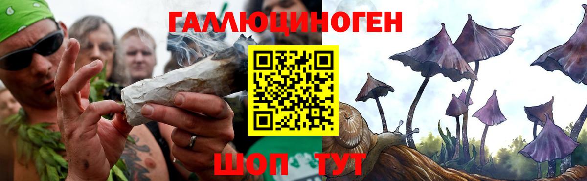 Галлюциногенные грибы Psilocybine cubensis Электросталь